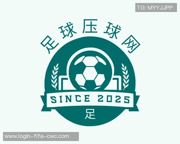 2010盲人足球盛会回顾：感受无障碍运动的激情与团结